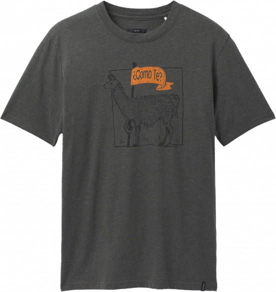 Prana Como Te Llama Journeyman 2 T shirt, grijs