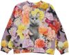 Molo ! Meisjes Sweater -- All Over Print Katoen online kopen