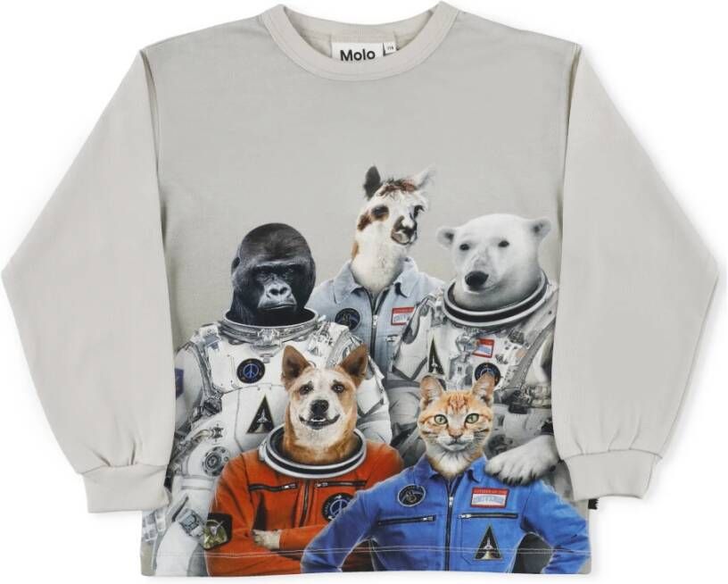 Molo Sweatshirts , Grijs, Heren