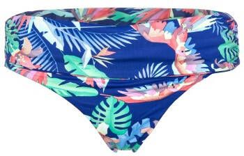 Sunseeker Tropical Dream Full Classic Pant